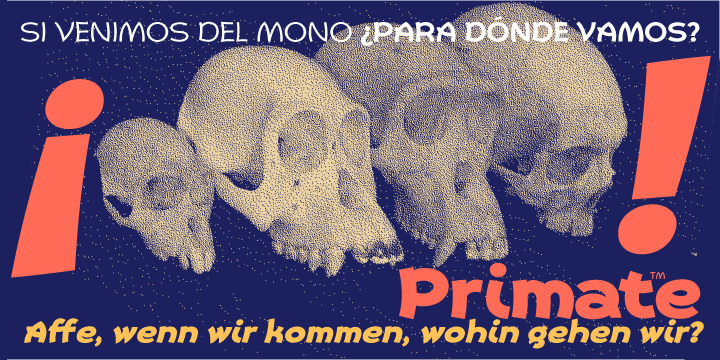 Beispiel einer Primate Italic-Schriftart